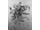 Untitled, 1959